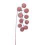 Decoración rama de plátano FLERMO con frutos, colgante, congelada, rosa viejo, 60 cm