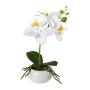 Flor de plástico Phalaenopsis orquídea KASDA, maceta de cerámica, raíces, blanca, 27 cm