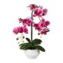 Flor de plástico Phalaenopsis Orquídea KASDA, maceta de cerámica, raíces, rosa, 50 cm