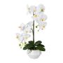 Flor de plástico Phalaenopsis Orquídea KASDA, maceta de cerámica, raíces, blanco, 50 cm