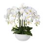 Flor de plástico Phalaenopsis Orquídea KASDA, maceta de cerámica, raíces, blanco, 55 cm