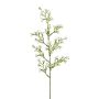 Rama decorativa flor estrella KLIRMO, blanca, 60 cm