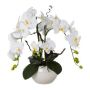 Decoración de orquídea con ramas de sauce retorcido LULUDI, maceta de cerámica blanca, raíces blancas, 55 cm