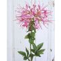 Flor araña artificial HILDEGARD, rosa, 85cm