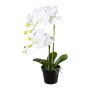 Flor de plástico Phalaenopsis orquídea WENJAN, maceta decorativa, raíces, blanco, 55 cm