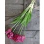 Ramo artificial de tulipanes papagayo TYRA, fucsia-verde, 45cm, Ø20cm