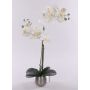 Orquídea Phalaenopsis artificial KAREN, maceta decorativa, con hielo, blanca, 50cm