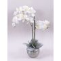 Orquídea Phalaenopsis artificial KAREN, maceta decorativa, con hielo, blanca, 60cm