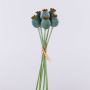 Cápsulas de amapola artificiales TSCHIKO en ramillete, verde menta, 30 cm
