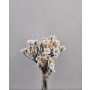 Ramo de flores artificiales de crisantemos pequeños WEMKE, blanco crema, 35 cm, Ø 13 cm
