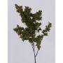 Rama de sauce artificial LOTTIKA con musgo, verde, 75 cm