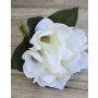 Ramo de magnolia artificial KAYLE, crema-blanco, 30 cm
