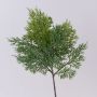 Rama decorativa de cedro BALTHILDE, verde, 50 cm