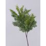Rama decorativa de cedro BALTHILDE, verde, 80 cm