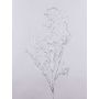 Rama de sauce decorativa DONATELLA, plateada, 95 cm