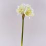 Flor decorativa de amarilis MARKUNO, blanco crema, 60 cm