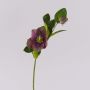 Rosa de Navidad artificial MITTWEIDA, violeta-verde, 35cm