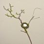 Rama de manzano artificial INDIKIRKA con nido de pájaros, musgo, marrón-verde, 75 cm
