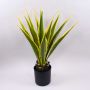Agave furcraea gigantea artificial CHERIE, verde-amarillo, 80cm