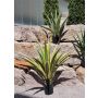 Agave furcraea gigantea artificial CHERIE, verde-amarillo, 100 cm
