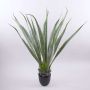 Agave furcraea gigantea artificial CHERIE, verde-gris, 100cm