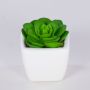 Echeveria elegans decorativa KATNISS, maceta de cerámica, verde, 6 cm