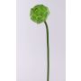 Alcachofa decorativa ABUKUMA, verde, 50 cm