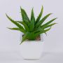 Aloe vera decorativa KATNISS, maceta de cerámica, verde, 19 cm
