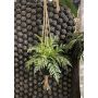 Colgador de flores de helecho artificial SERFLI en maceta decorativa, verde, 20 cm