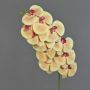 Rama artificial de orquídea Phalaenopsis XURI, amarillo claro-fucsia, 100 cm