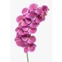 Rama artificial de orquídea Phalaenopsis XURI, rosa, 100 cm