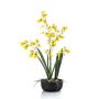 Flor artificial de orquídea Oncidium DEISHA en bandeja decorativa, raíces, amarilla, 60 cm