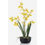 Flor artificial de orquídea Oncidium DEISHA en bandeja decorativa, raíces, amarilla, 60 cm