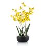 Flor artificial Oncidium Orquídea DEISHA en bandeja decorativa, raíces, amarilla, 70 cm