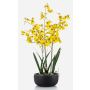 Flor artificial Oncidium Orquídea DEISHA en bandeja decorativa, raíces, amarilla, 70 cm