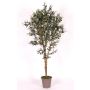Olivo artificial MIANA, troncos naturales, con frutos, 175cm - Fabricado en Italia