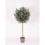 Olivo artificial MILINO, tronco natural, con frutos, 150 cm - Fabricado en Italia