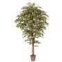 Ficus Benjamini artificial LINETTE, troncos naturales, verde-blanco, 200 cm - Fabricado en Italia