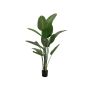 Planta artificial Strelitzia PANAGIOTA, verde, 170 cm
