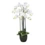 Flor decorativa Phalaenopsis Orquídea PINSARY, globo terráqueo, raíces, blanco, 95 cm