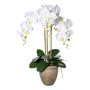 Orquídea Phalaenopsis textil FRIMTOR en maceta de terracota, raíces, blanca, 75 cm