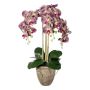 Orquídea Phalaenopsis textil FRIMTOR en maceta de terracota, raíces, verde-lila, 75 cm