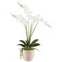 Arreglo floral artificial de orquídea y suculentas FININ, maceta de cemento, raíces, blanco, 55 cm
