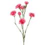 Rama artificial de clavel PIARA, rosa, 60 cm, Ø 2-5 cm