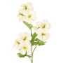Planta artificial rama de geranio ZEDENA, blanco-verde, 70 cm, Ø 6 cm