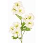 Planta artificial rama de geranio ZEDENA, blanco-verde, 70cm, Ø6cm