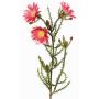 Flor artificial de capuchina BEYA, rosa-fucsia, 60cm, Ø6cm