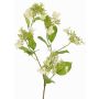 Rama de hortensia artificial KATHANI, crema, blanco-verde, 80cm, Ø10-13cm