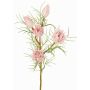 Rama decorativa protea NOHEA, rosa-blanco, 60cm, Ø3-6cm