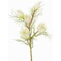 Rama decorativa Protea NOHEA, blanca, blanco, 60cm, Ø3-6cm